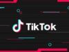 Come vedere i video di un account privato su TikTok
