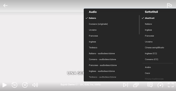 Sottotitoli su Netflix