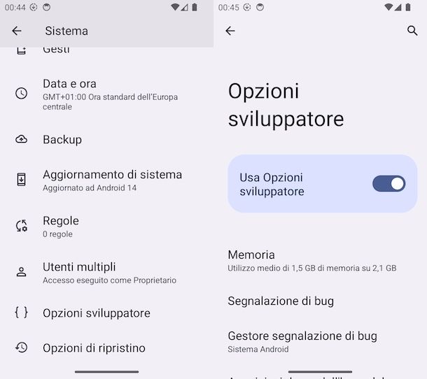 Opzioni sviluppatore Samsung