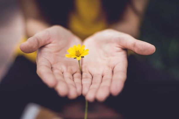 mano con fiore