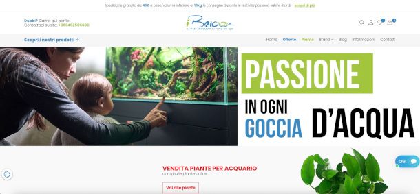 home page sito iBrio