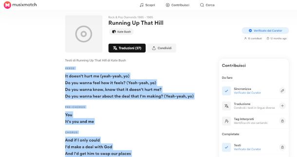 pagina del testo di una canzone su sito Musixmatch