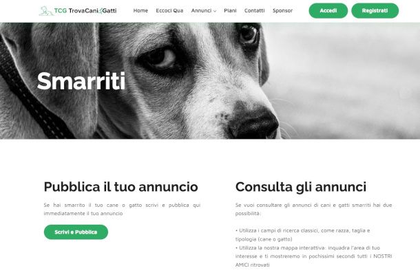 pagina sito Trova cani e gatti