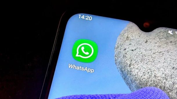 Informazioni preliminari WhatsApp