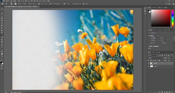 Sfumare foto in trasparenza Photoshop