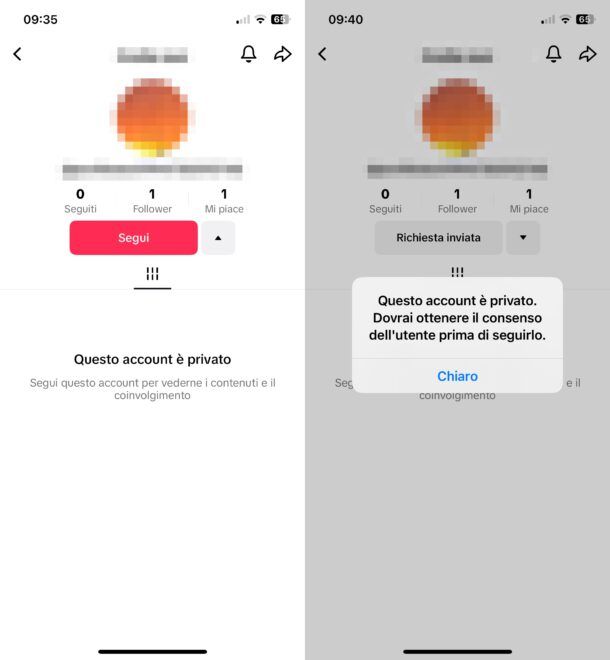 Come vedere i video di un account privato su TikTok