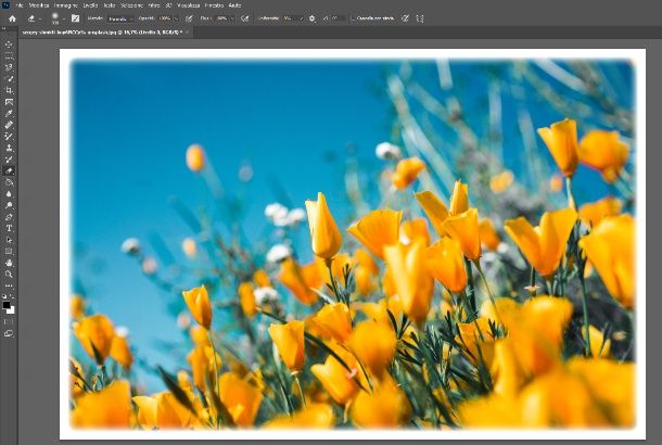 sfumare bordi Photoshop