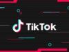 Come vedere i seguiti nascosti su TikTok