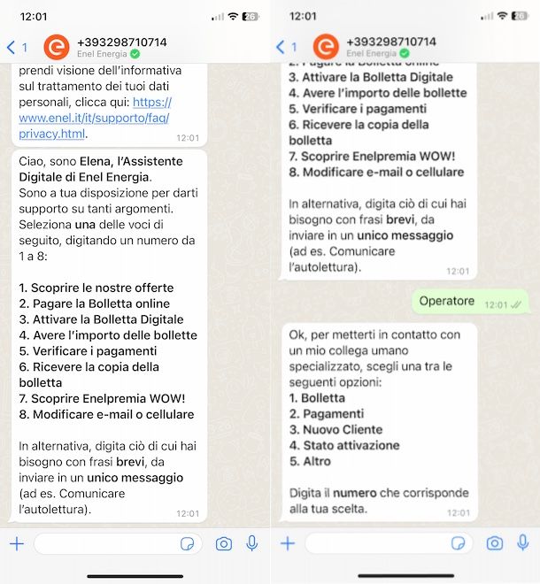 Contattare Enel tramite WhatsApp