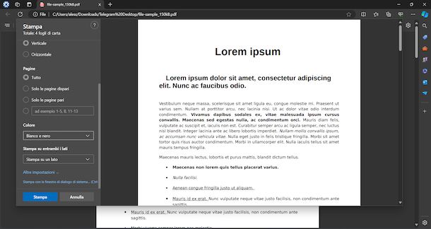 Stampa bianco e nero PDF Windows 11