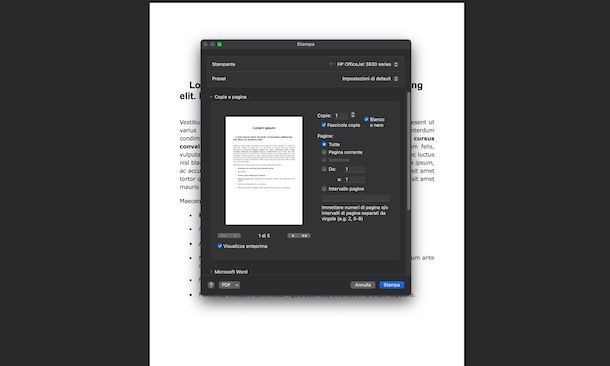 Stampa bianco e nero Word macOS