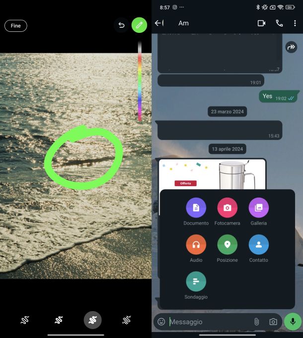 Cerchiare WhatsApp Android
