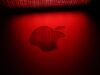 Falso avviso di sicurezza Apple: come riconoscerlo ed eliminarlo