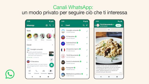 Canali WhatsApp