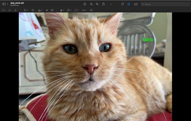 firma foto anteprima mac