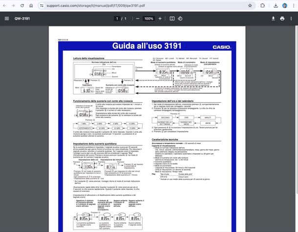 Manuale utente Casio 3191