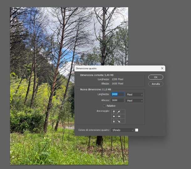 Photoshop Dimensioni quadro