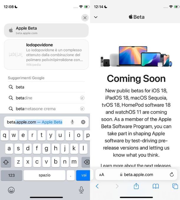 beta tester iphone