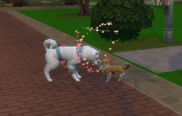 Accoppiare cani su The Sims 4