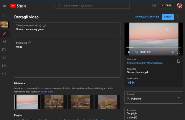 Copertina video YouTube