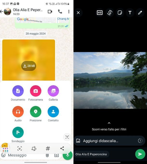 whatsapp file
