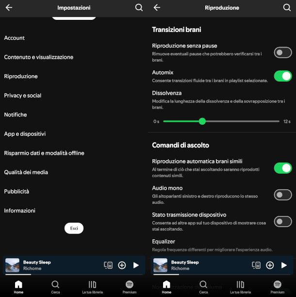dissolvenza canzoni su app Spotify