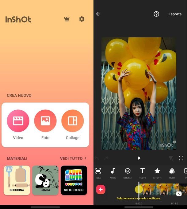 InShot