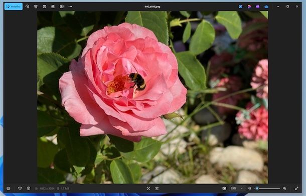 Foto Windows 11