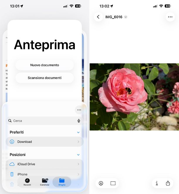 Anteprima iOS/ipasdOS