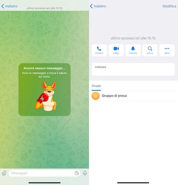 iOS Telegram