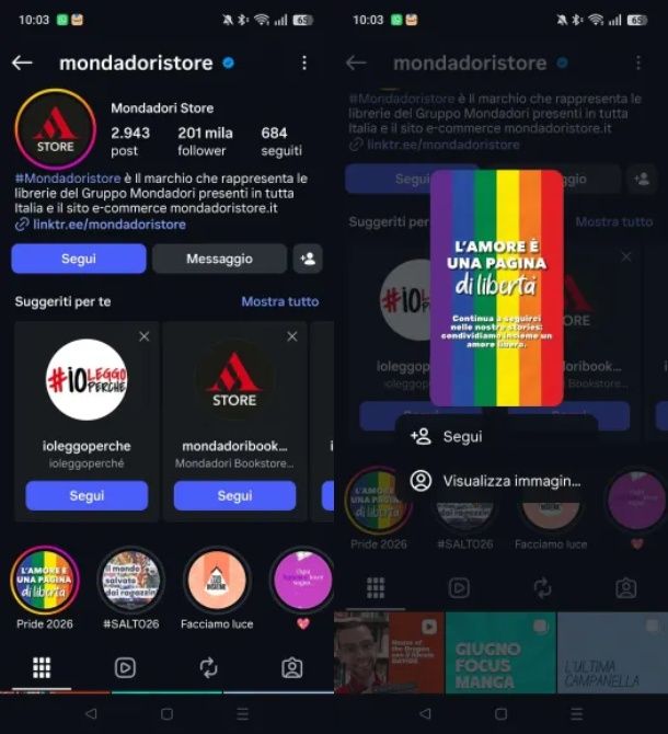 Come vedere le storie di Instagram in modo anonimo