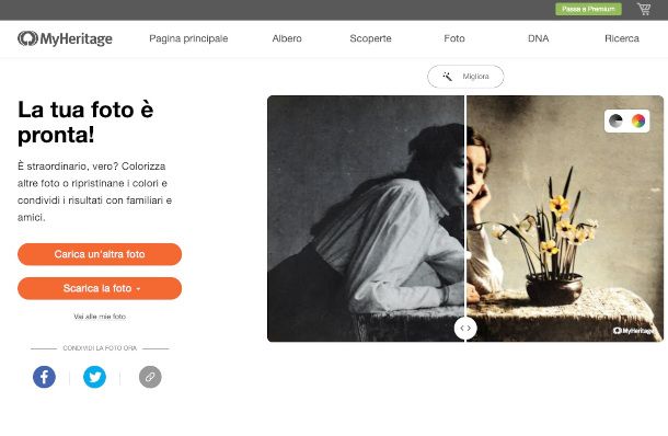 interfaccia MyHeritage funzione di colorazione foto in bianco e nero