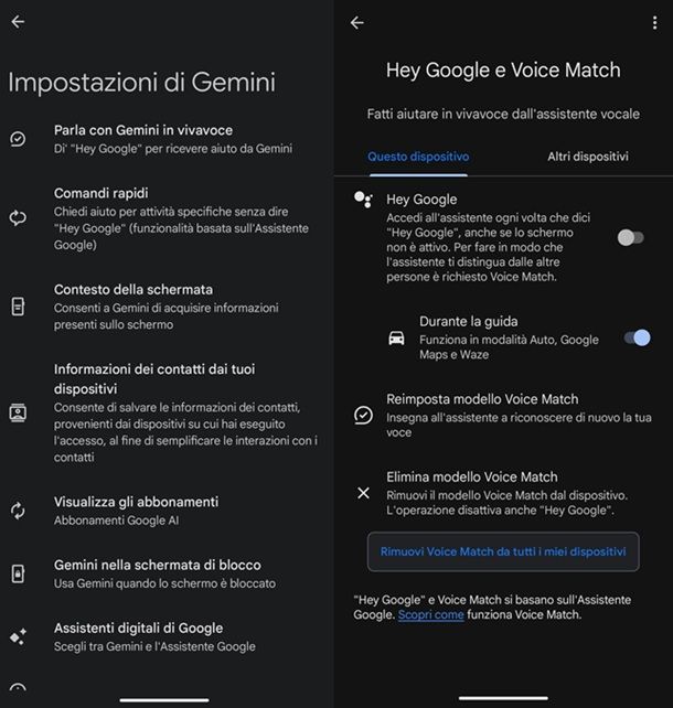 Gemini Hey Google
