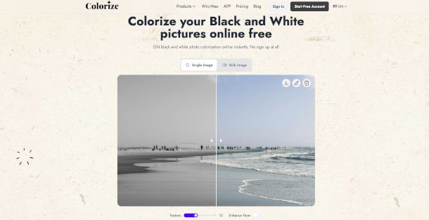 interfaccia Web app Image Colorizer