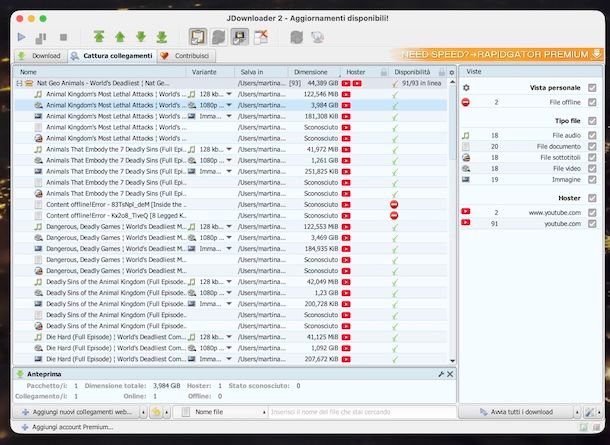 JDownloader