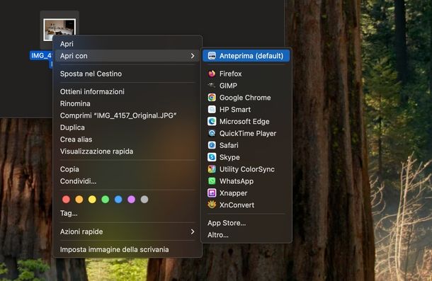 Passare foto da Google Foto a galleria PC