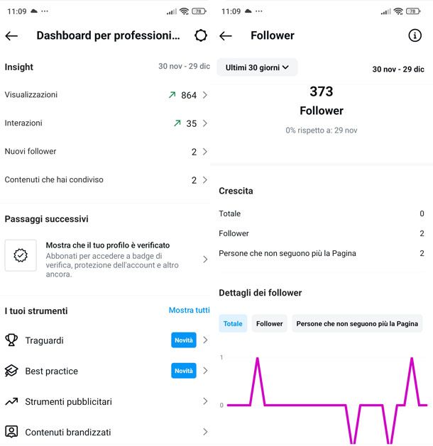Dashboard per professionisti Instagram