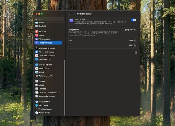 Attivare parental control macOS