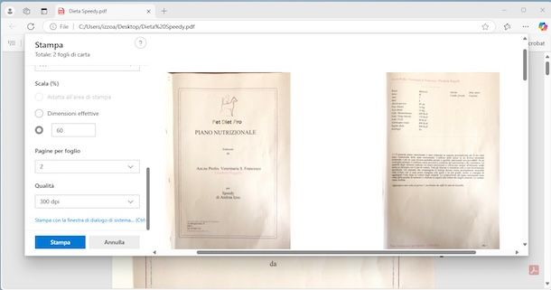 Stampare due pagine per foglio Windows