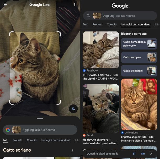 schermate app Google Lens