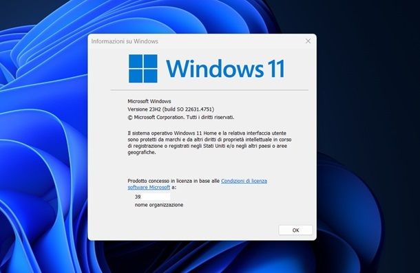 Come sapere che Windows ho