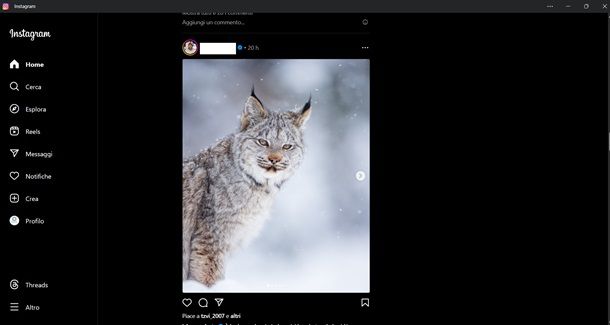 instagram