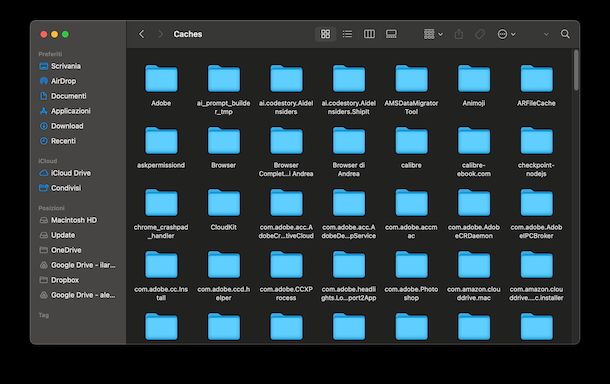 Cartella Caches