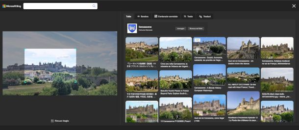 schermata Bing Visual search sul web