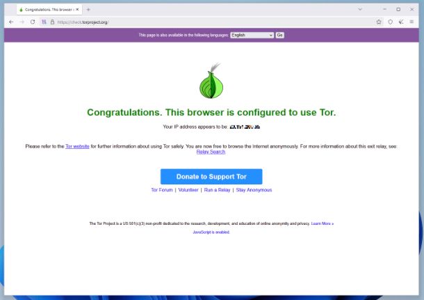 Tor Browser Windows