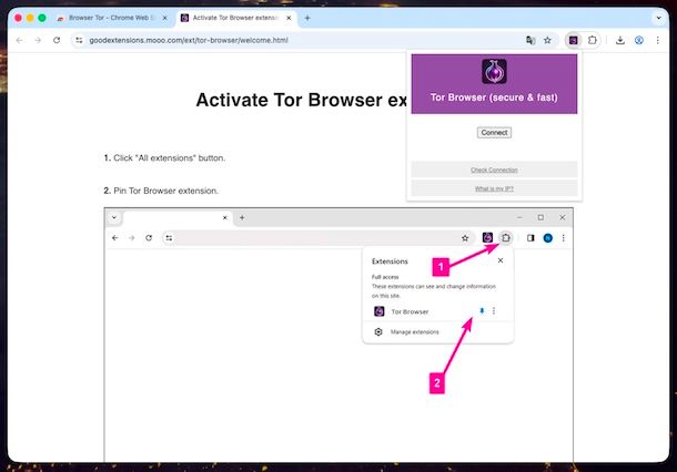 Tor Chrome
