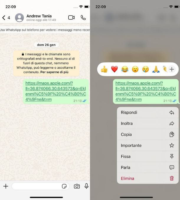 whatsapp copiare messaggi iphone