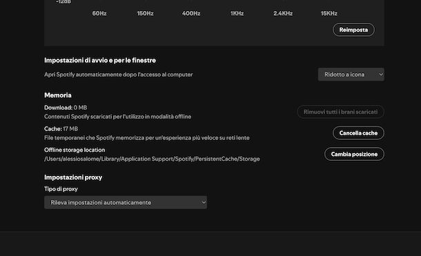 Cache Spotify