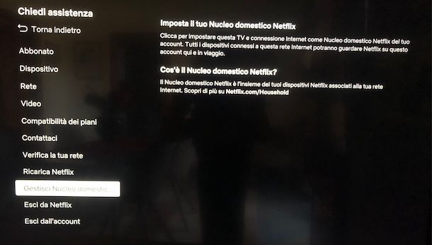 Nucleo domestico Netflix