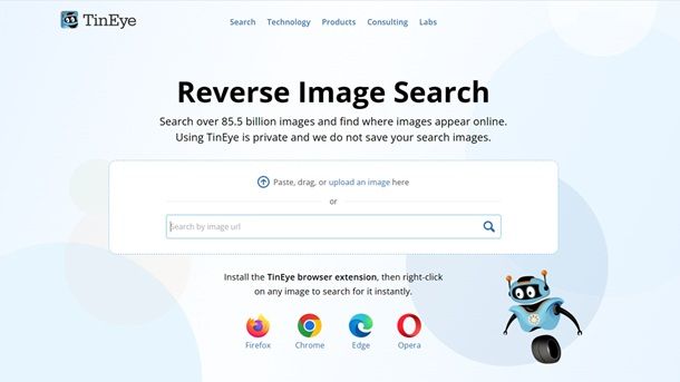 TinEye Reverse Image Search